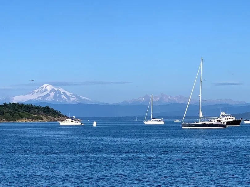 Sailboats at anchor on blue water with snow-capped Mount Baker rising behind the islands